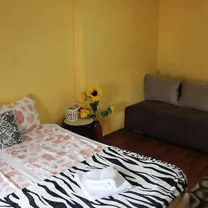 Vitoshka Biggest Apartment Sofia